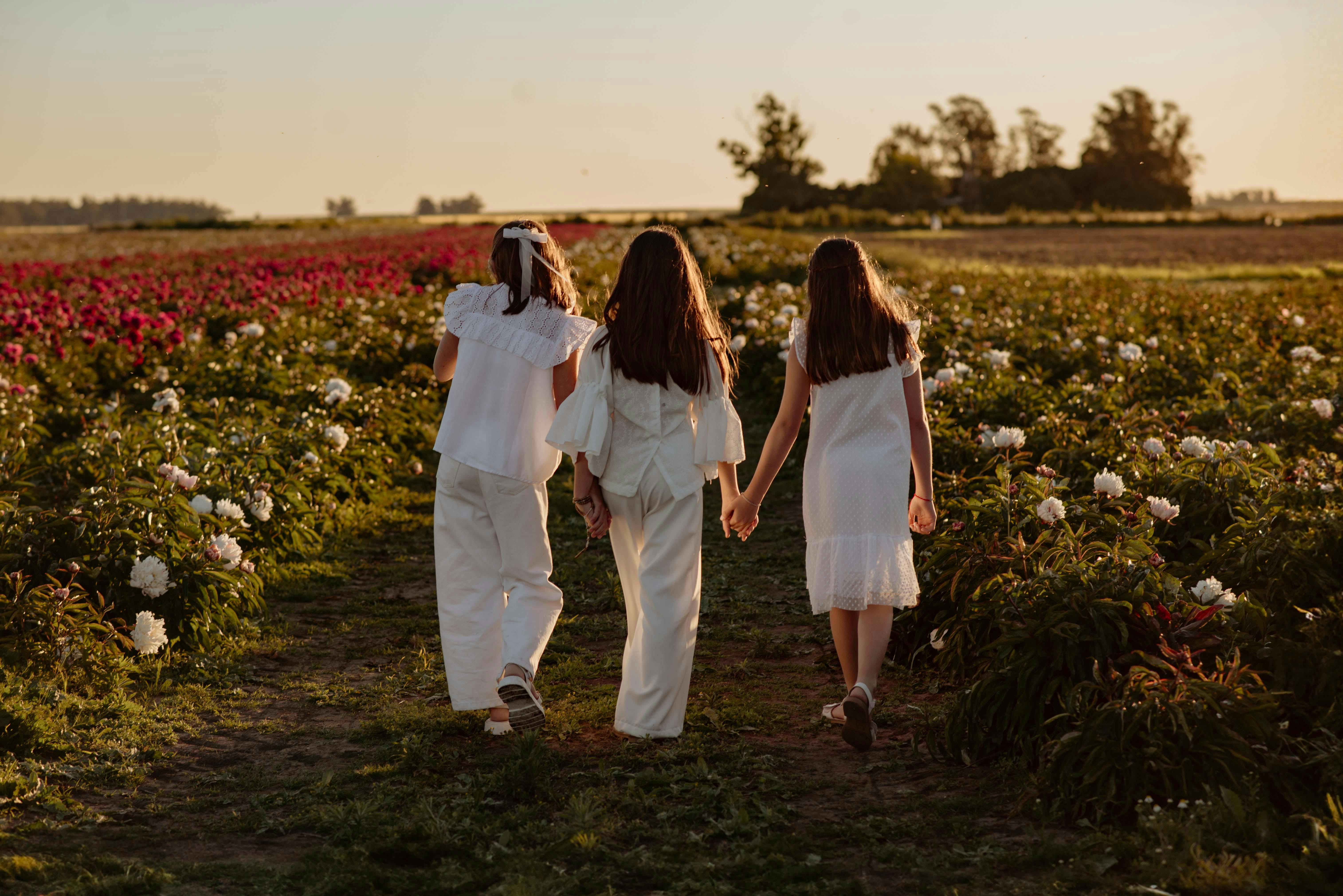 文化纪录片氛围图